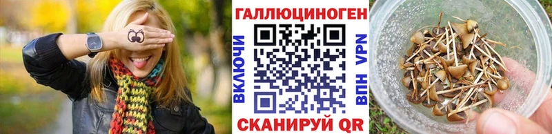 Галлюциногенные грибы Psilocybine cubensis  закладки  Кологрив 