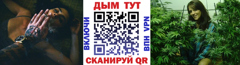 Бошки Шишки гибрид  купить   Кологрив 